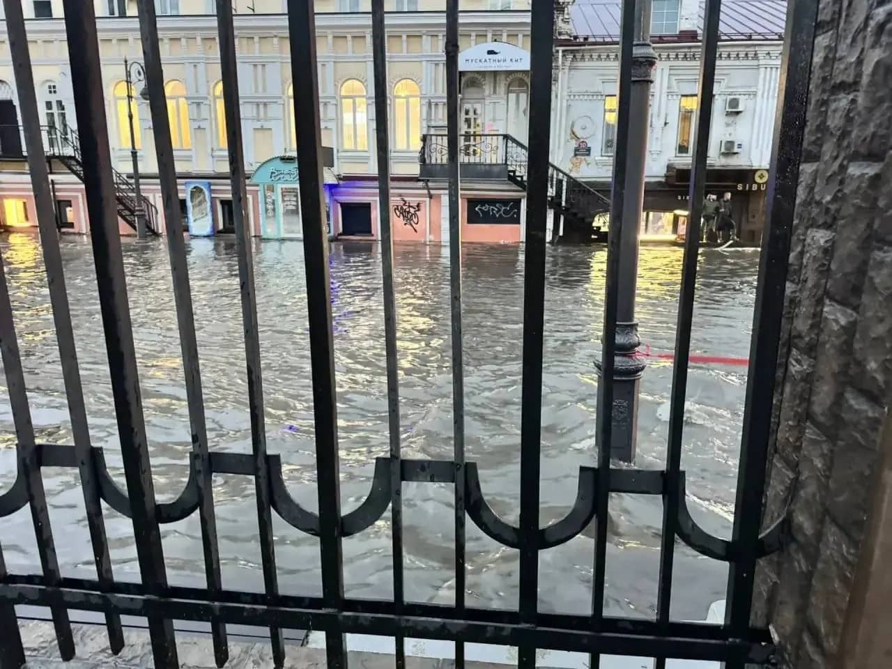 Ребёнок ждал автобус в школу, стоя на скамейке