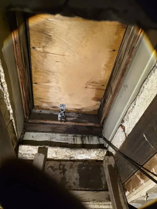 Жители дома на Северном проспекте пожаловались на бездействие УК