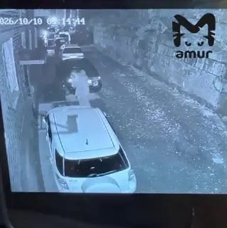 В Приморье неадекват разбил стекло машины головой бывшей девушки