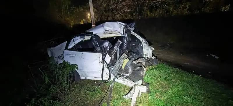В Артёме водитель Toyota Altezza погиб после столкновения с деревом