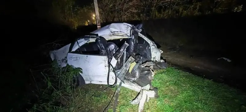 В Артёме водитель Toyota Altezza погиб после столкновения с деревом