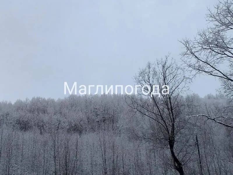 В северных районах Приморья выпал первый снег