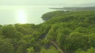 Проекты Находки вышли в финал премии «ДальАрх»