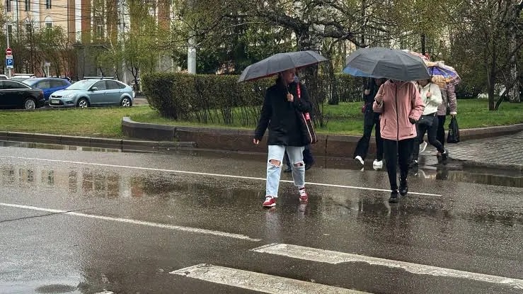 Приморье ждут дожди и потепление в начале недели