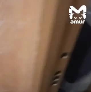 Сосед избил женщину и ребенка в Находке из-за случайного толчка