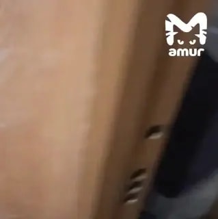 Сосед избил женщину и ребенка в Находке из-за случайного толчка