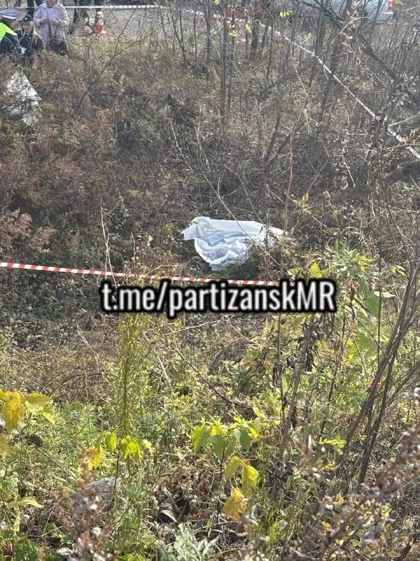 В Партизанске произошла погоня со смертельным исходом
