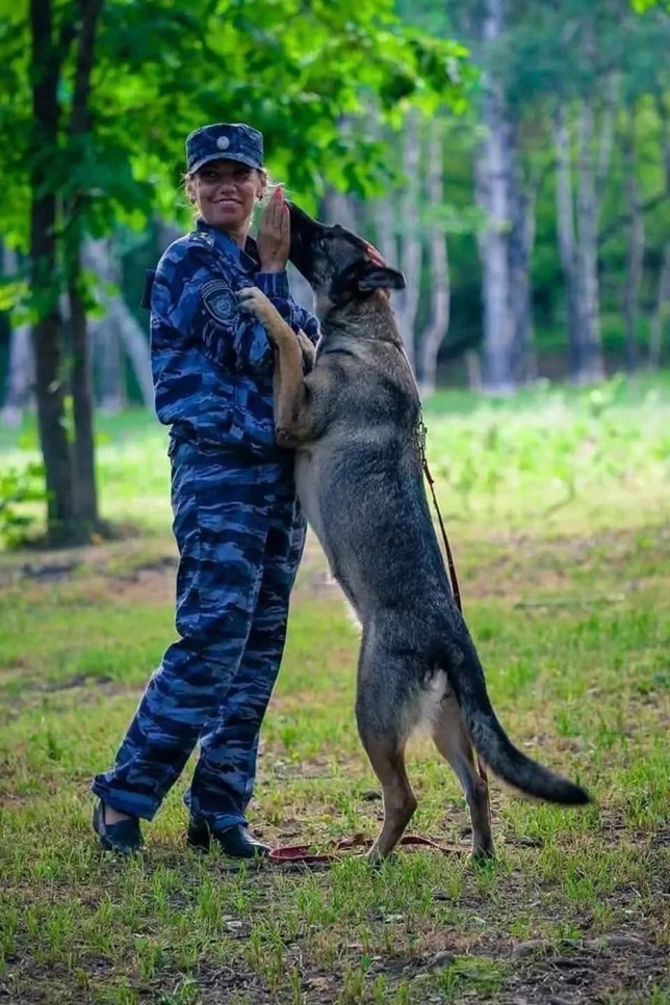 Служебная собака помогла раскрыть убийство пятилетней девочки в Находке