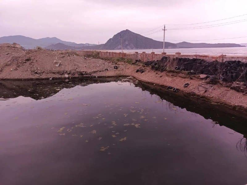 Природоохранная прокуратура проверит загрязнение пляжа «Волна» в Находке