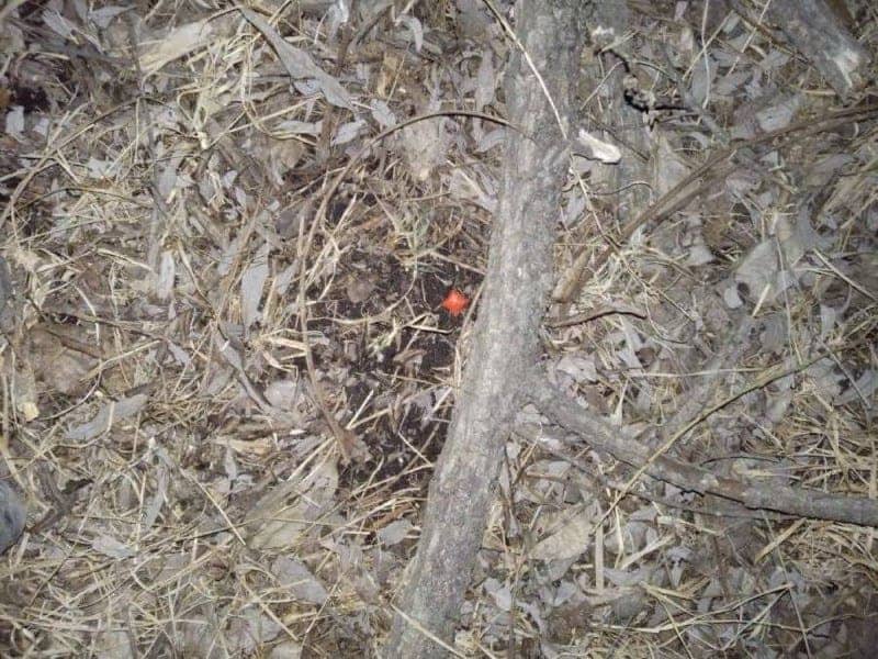 Закладчика из Артема задержали до реализации крупной партии наркотиков в Находке