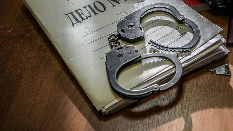 Трое приморцев пойдут под суд за незаконную рубку шести деревьев
